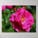 Recherche de rose foncé art Pour elle
