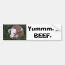 Search for anti vegetarian bumper stickers Meat