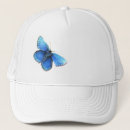 Recherche de papillon bleu casquettes Insecte