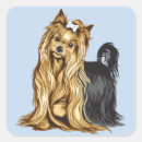 Search for yorkshire stickers Pet