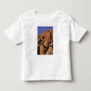 Search for joshua tree national park tshirts Desert