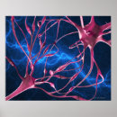 Recherche de topics posters Horizontal