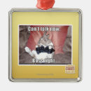 Search for talking ornaments I can has cheezburger