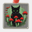 Search for black forest ornaments Nature
