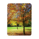 Search for colored leaf magnets Nature