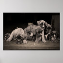 Recherche de boxeur art Noir