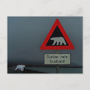 Recherche de nuit polaire cartes postales Ours