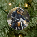 Search for rex ornaments Tyrannosaurus