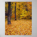 Recherche de maple posters Forêt