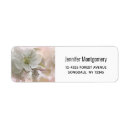 Search for return photography labels Pretty