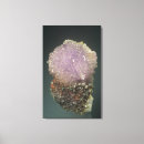 Search for natural sciences art Black background