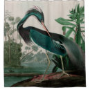 Search for animal print shower curtains Nature