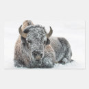 Search for bison animal stickers Wyoming
