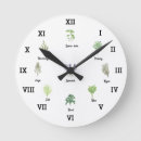 Search for spices clocks Nature