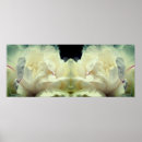 Recherche de pivoine posters Blanc