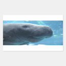Search for manatee labels Tropical