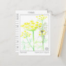 Recherche de fenouil cartes postales Pour tous