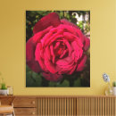Search for red rose canvas prints Vintage