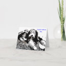 Search for bearded collie cards Dog
