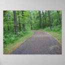 Search for paths art Photography