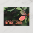 Search for autumn leaves business cards Red