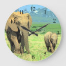 Search for african clocks Safari