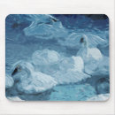 Search for endangered mousepads Winter