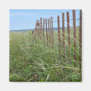 Search for cape cod magnets Sand