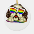 Search for transgender ornaments Pansexual