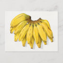 Search for vintage banana postcards Yellow