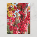 Search for autumn tree postcards Cute