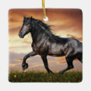 Search for black horse ornaments Horses