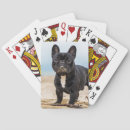 Recherche de taureau jeux de cartes Chiots