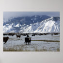 Search for carson posters Nevada
