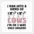 Search for sheep humour stickers Cute