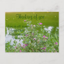 Search for christian thinking of you postcards Scripture