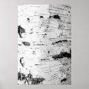 Search for birch bark posters Pattern