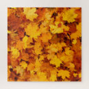 Search for indian puzzles Autumn