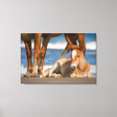 Search for horse canvas prints Foal