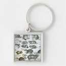 Search for zoology keychains English