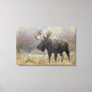 Recherche de orage art Arbre