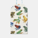 Search for frog illustration Amphibian