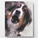 Search for collie plaques Dog