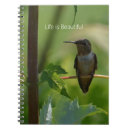 Recherche de branches photographie Arbre