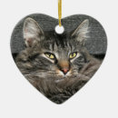 Search for gray cat ornaments Face