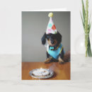 Recherche de dog anniversaire cartes Dachshund