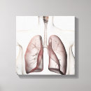 Search for female body canvas prints Healthcare