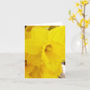 Recherche de salutation blanche Fleurs