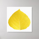 Search for autumn trees canvas prints Leaf