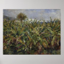 Recherche de bananiers posters Paysage